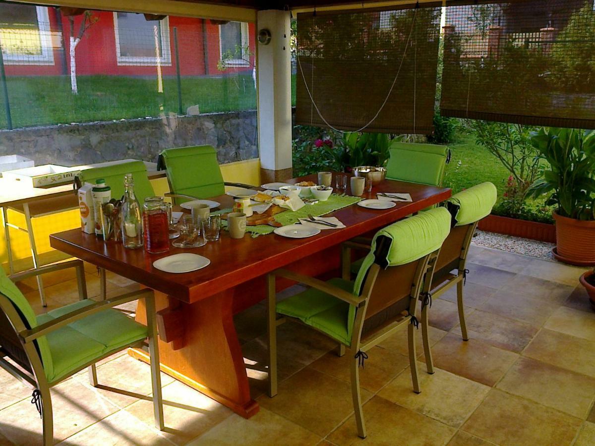 Yellow Dreamhouse Postojna Dış mekan fotoğraf